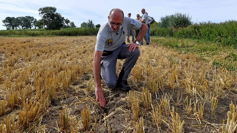 A member of the French Office for Biodiversity (OFB) inspects a dried field amid an intense drought in the country in Herzeele, northern France on 2 August, 2022 France saw its driest July on record, the weather agency said, exacerbating stretched water resources that have forced restrictions