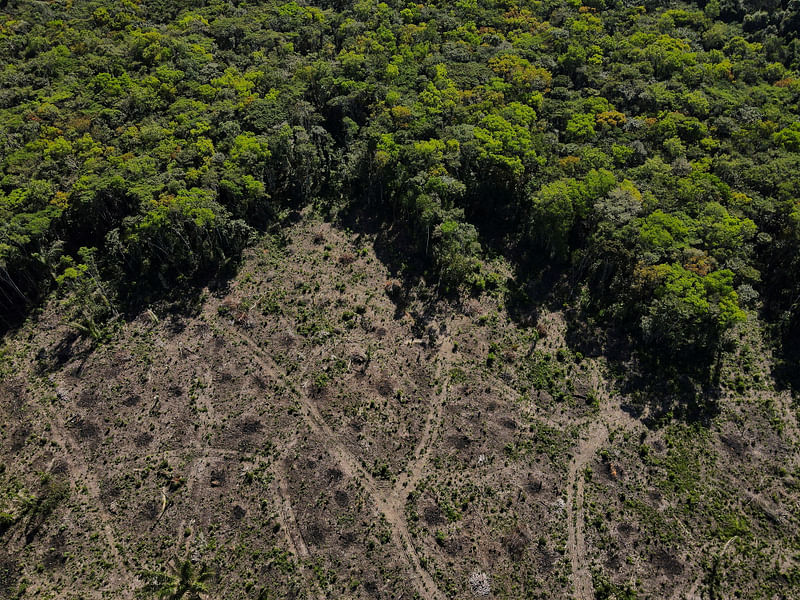 An aerial view shows a deforested plot of the Amazon rainforest in Manaus, Amazonas State, Brazil on 8 July, 2022.