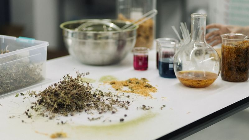 Ukraine seeks to rebuild economy on unbowed small businesses. Herbs and plants used by Victoriia Maslova and her mother Inna Skarzhynska, founders of plant-based cosmetics company Vesna, to make their skin and hair care products, are seen in this undated handout picture