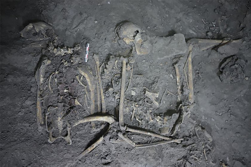 This handout image provided by Nawa Sugiyama of the University of California Riverside on 21 November, 2022, shows the complete skeletal remains of a 1,700 year old female spider monkey that was found in Teotihuacan, Mexico.