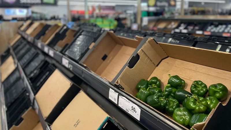 A photograph taken on 24 February, 2023, shows a few peppers among empty shelves at a Sainsbury supermarket in east London