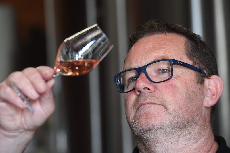 Winemaker Thierry Bonnet's checks the rose wine from his vineyard in his property Château Marot in Soussac, southwestern France, on 26 May, 2023