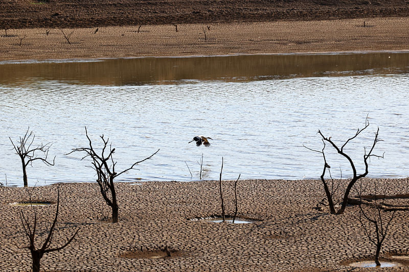 A bird flies over the water and cracked ground of the Sierra Boyera Reservoir, which is at 0.01% of its capacity, in Belmez, southern Spain April 26, 2023