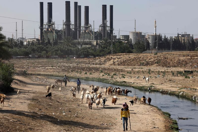 A shepard leads his flock in Gaza city, close to the power plant at Nusseirat refugee camp, on May 14, 2023, amid a ceasefire ending five days of deadly fighting between Israel and the Palestinian Islamic Jihad militant group