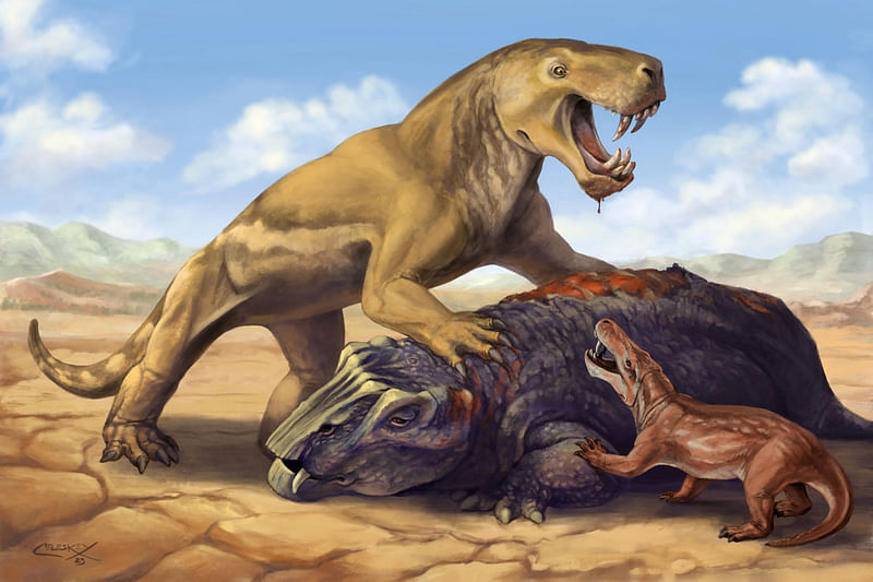 This undated illustration shows the Permian Period tiger-sized saber-toothed protomammal Inostrancevia atop its dicynodont prey, scaring off the much smaller species Cyonosaurus.