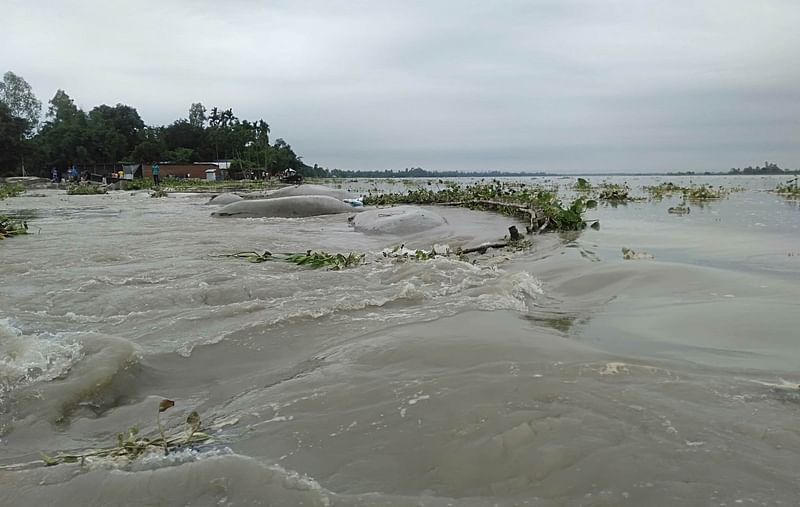 All the rivers have started to swell, triggered by the onrush of water from the upstream and rain, inundating low-lying areas in different upazilas of Kurigram district