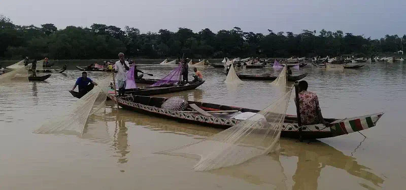 Various species of fishes, including Ruhi, Katla, Mrigel and Kalibaush, released record quantity of eggs on Sunday night in the river Halda, the lone natural fish breeding sanctuary in the country