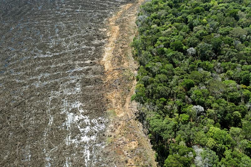 Aerial picture of a deforested area close to Sinop, Mato Grosso State, Brazil, taken on 7 August, 2020. Earth lost an area of carbon-absorbing rainforest larger than Switzerland or the Netherlands in 2022, most of it destroyed to make way for cattle and commodity crops, an analysis of satellite data released on 27 June, 2023, revealed.