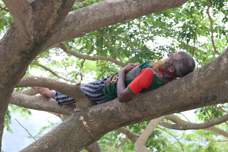 An exhausted worker of a brick kiln falls asleep on a tree, seeking respite from the scorching heat. The picture was taken from the Adampur area of Sadar upazila in Faridpur.