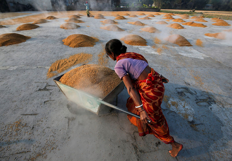 A worker carries boiled rice in a wheelbarrow to spread it for drying at a rice mill on the outskirts of Kolkata, India, on 31 January, 2019