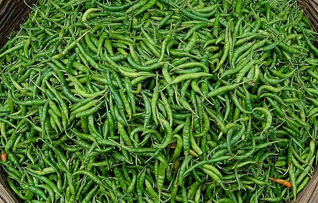 Even when reports of import hit the news, prices didn't fall in the market and so perhaps green chillies will disappear from many menus