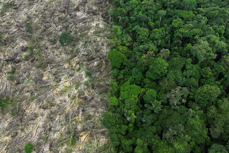 An aerial view shows a deforested area during an operation to combat deforestation near Uruara, Para State, Brazil 21 January, 2023.