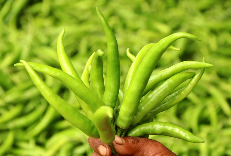 Green chillies