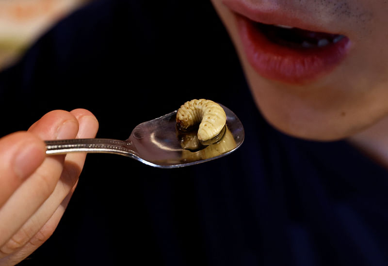 Shunnosuke Suga eats beetle larvae, as he eats Almond tofu with beetle larvae at Take-Noko cafe in Tokyo, Japan, 21 July, 2023.