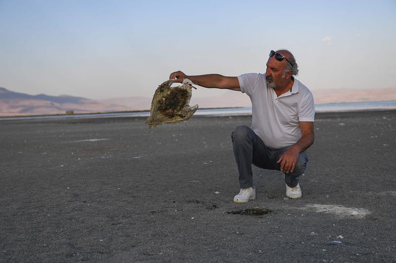 A picture taken on 18 August, 2023 in Van, eastern Turkey, shows local environmentalist Ali Kalcik holding a gull that had starved to death after the pearl mullets that make up their diet migrated earlier this year due to drought