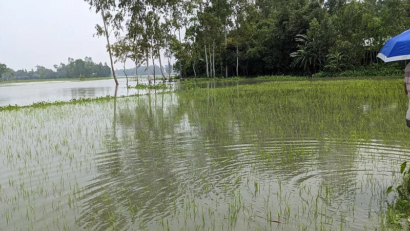 Inundation in the low-lying Ghogadaha area in Kurigram sadar upazila on 13 August, 2023