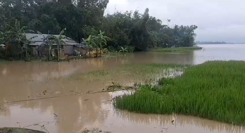 Teesta river flowing above danger level