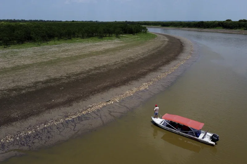 A fisherman stands on his boat as he navigates near thousands of dead fish awash on the banks of Piranha Lake due to a severe drought in the state of Amazonas, in Manacapuru, Brazil, Wednesday, Sept. 27, 2023.