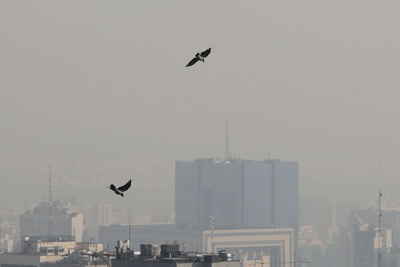 Birds fly above buildings as smog covers Tehran on 26 November 2023