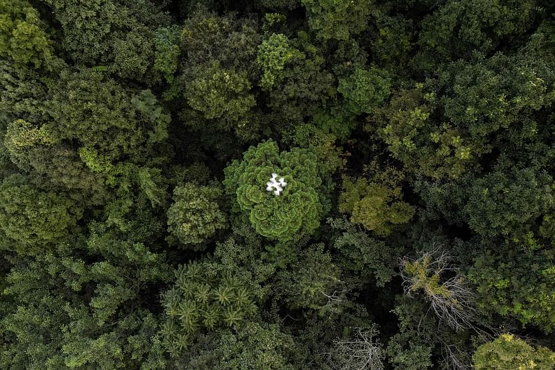 This aerial photograph taken on 22 November 2023 shows a drone doing a forest restoration survey over a reforested area in Chiang Mai. On a hillside overlooking cabbage fields outside the northern Thai city of Chiang Mai, a drone's rotors begin to whir, lifting it over a patch of forest.