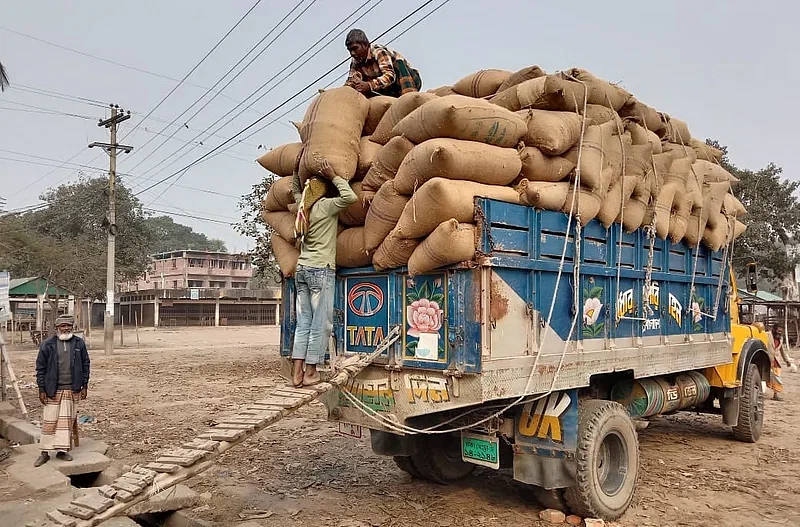 Labourers unloading sack of paddy at a market