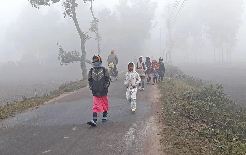 Children walk to school amid chilly weather in Bhabrongi area of Sadar upazila in Panchagarh on 15 January 2024.