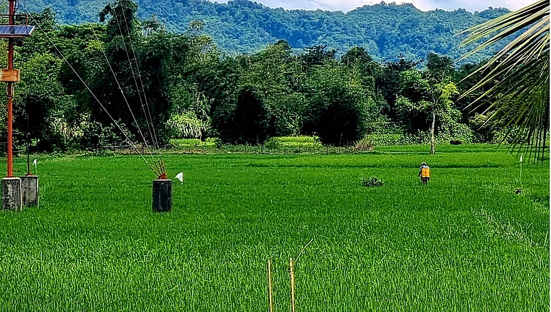 The Rakhine hills are seen in Myanmar from the Tumbru west border of Bandarban in Bangladesh. The paddy field is in Bangladesh