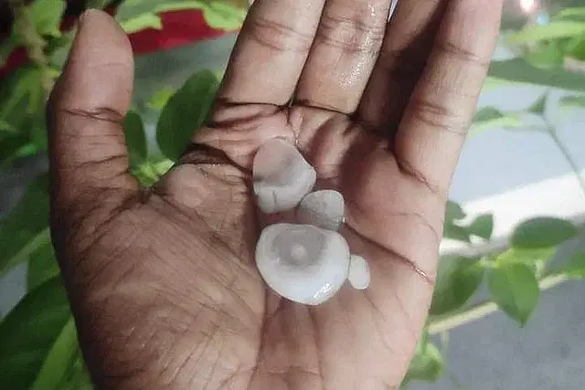 There was heavy downpour along with hailstorm at some places in Dhaka on 24 March, 2024.