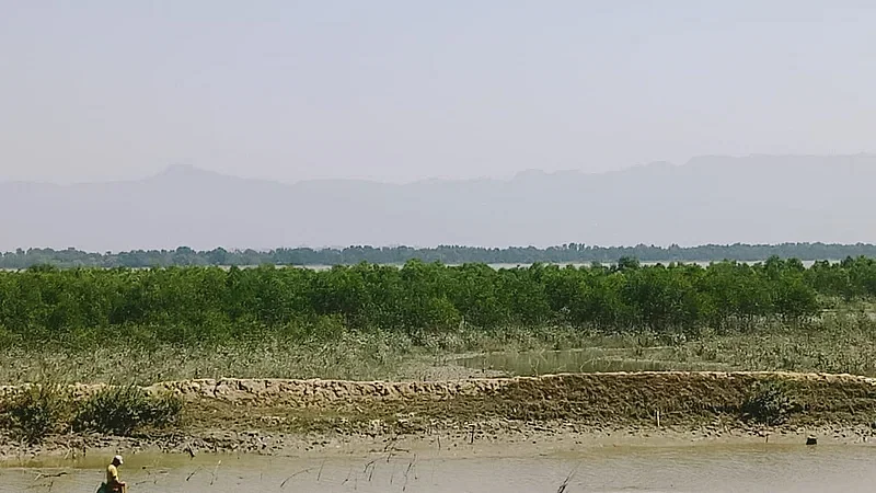 A mangrove forest is seen from Chowdhurypara in Hnila, Teknaf. The Naf river is beyond the mangrove forest and Nakpura village of Myanmar is on the other side of the river