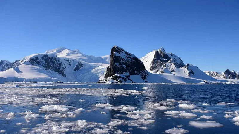 Sea ice levels in Antarctica have registered historic lows for three consecutive years.