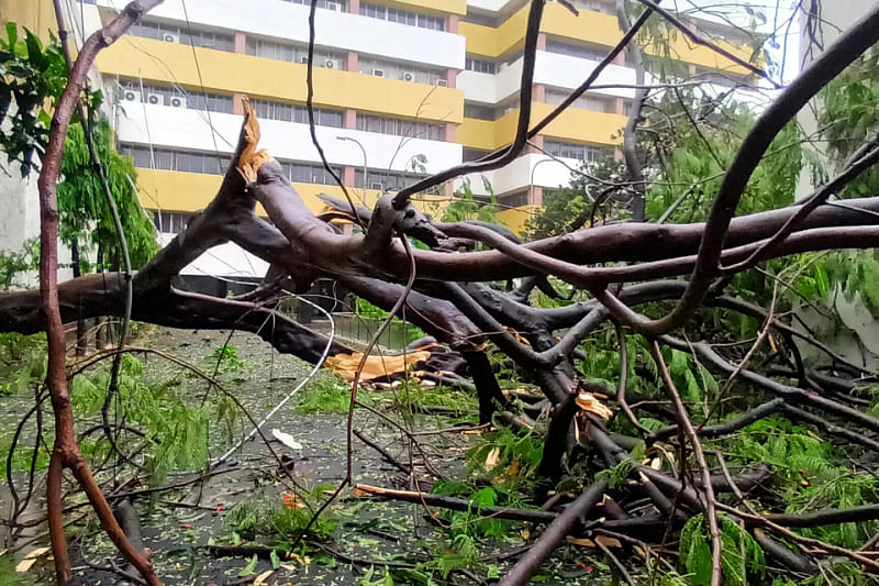 Trees break down in may places of Kolkata streets