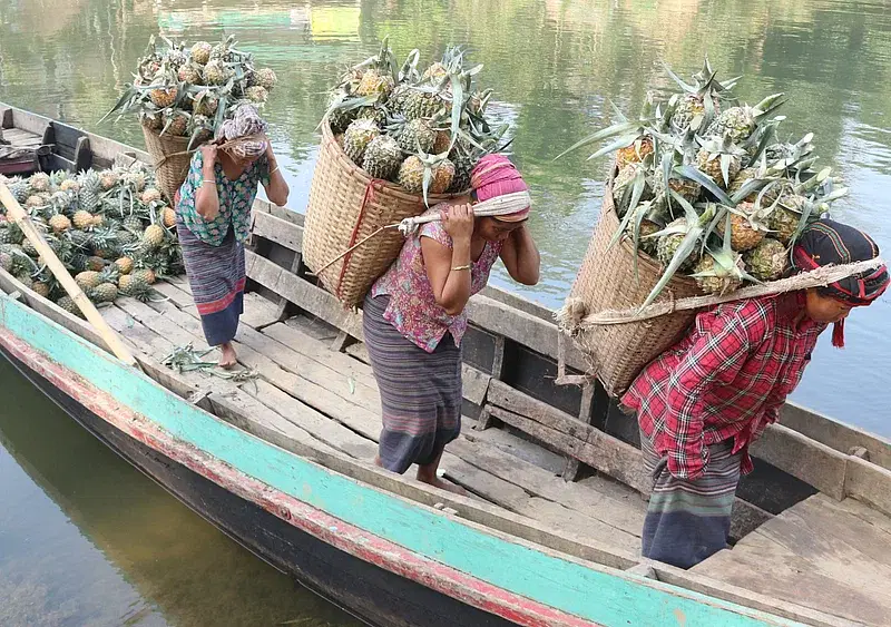 Women of the hill tracts arrive in city on a boat, carrying pineapples grown in their gardens in baskets on their back. Photo taken from College Gate pier in Rangamati