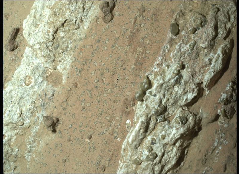 NASA's Perseverance Mars rover came across an intriguing, arrow-shaped rock dubbed "Cheyava Falls" that may harbor fossilised microbes from billions of years ago, when Mars was a watery world.