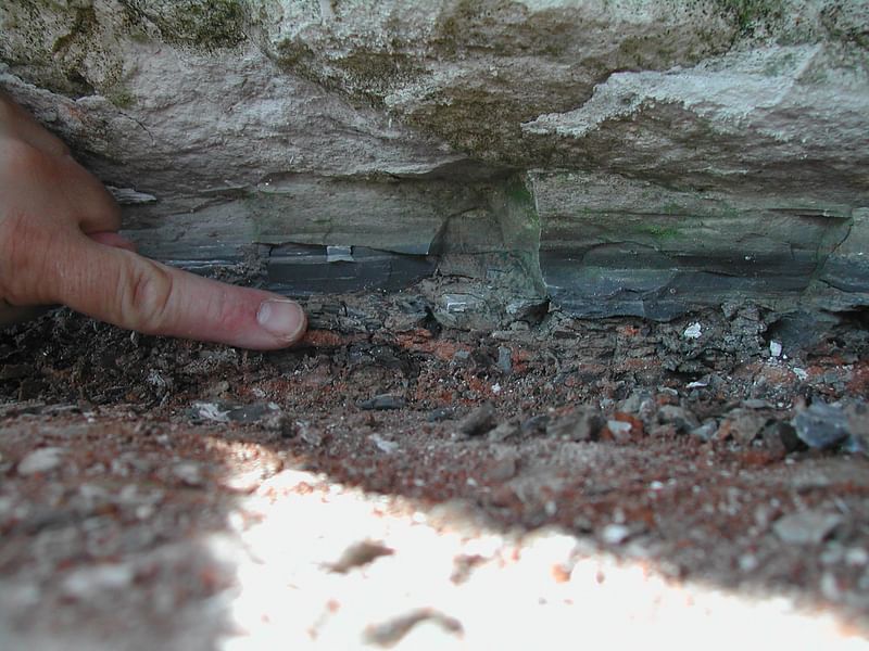 This handout image provided by Eurekalert on 15 August, 2024 shows the 66-million-year-old Cretaceous-Paleogene (K-Pg) boundary layer at Stevns Klint in Denmark. This boundary layer contains the globally distributed fallout produced by the asteroid impact at Chicxulub (Mexico). The scientific debate surrounding the nature of the asteroid that caused the extinction of the dinosaurs has been raging for decades, but a new study has just added a decisive stone to the edifice. The work, published 15 August in the prestigious journal Science, used an innovative technique to demonstrate that the culprit behind the most recent mass extinction, 66 million years ago, had formed beyond Jupiter.