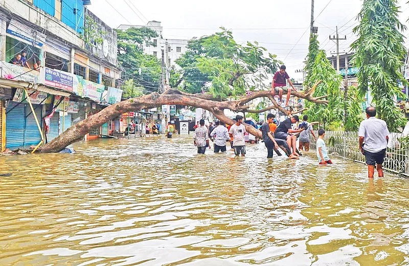 A tree fell on a street inundated with flood water. Photo taken from Trunk Road in Feni recently.