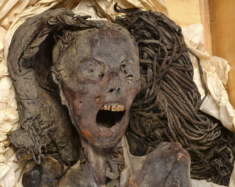 The "Screaming Woman" mummy, discovered in 1935 at Deir Elbahari near Luxor and dating to about 1500 BC during ancient Egypt?s New Kingdom period, is seen at the Egyptian Museum in Cairo, Egypt, 18 January, 2023 in this handout photograph released on 2 August, 2024.