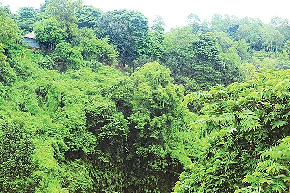 Some 700 acres of forest land in Cox's Bazar have been allocated for construction of an administration service training academy.