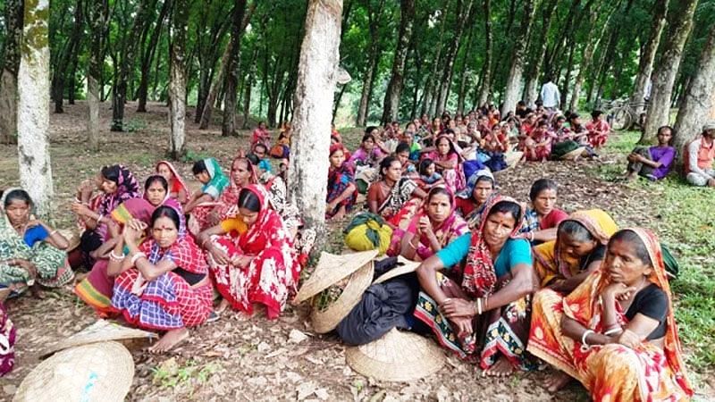 Hundreds of workers from Malnichhara Tea Estate in Sylhet halted work for two hours 23 September 2024.