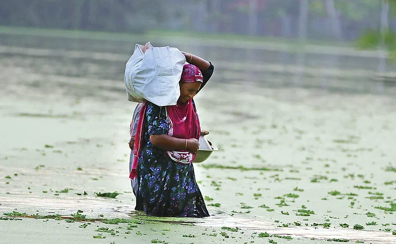 Since floodwater has breached into her house, a woman treads through the water in search of safe shelter. Photo taken from Panjarbhanga area in Kaunia of Rangpur on 29 September 2024.