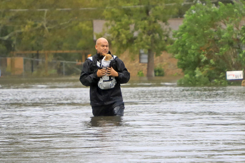 A resident on Magnolia Avenue cradles his dog in a carrier as he surveys the flooding damage after Hurricane Milton passed in South Daytona, Florida, US on 11 October 2024