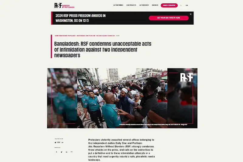 Screengrab of the RSF website