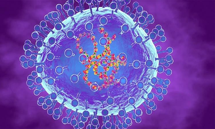 Human Metapneumovirus