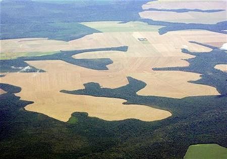 Brazil is building a giant observation tower in the heart of the Amazon to monitor climate change and its impact on the region's sensitive ecosystem.