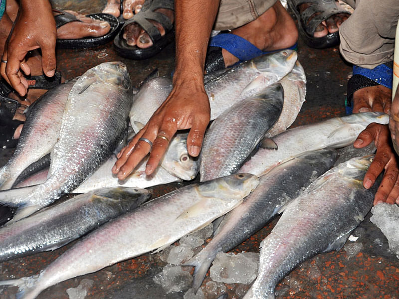 Salesmen display hilsha in a local market ahead of the Pahela Baishak.