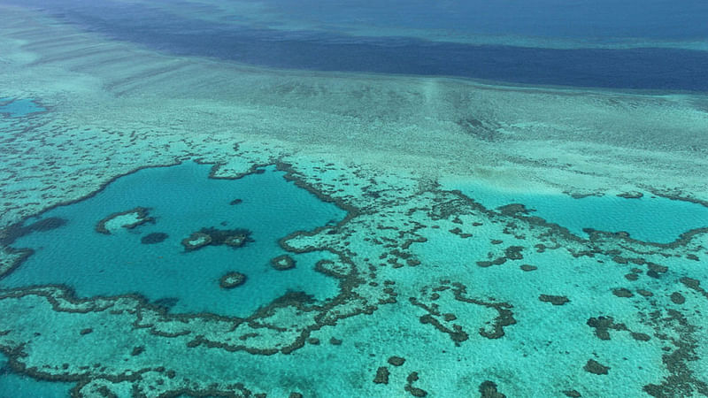 An aerial view of the Great Barrier Reef off the coast of the Whitsunday Islands, along the central coast of Queensland