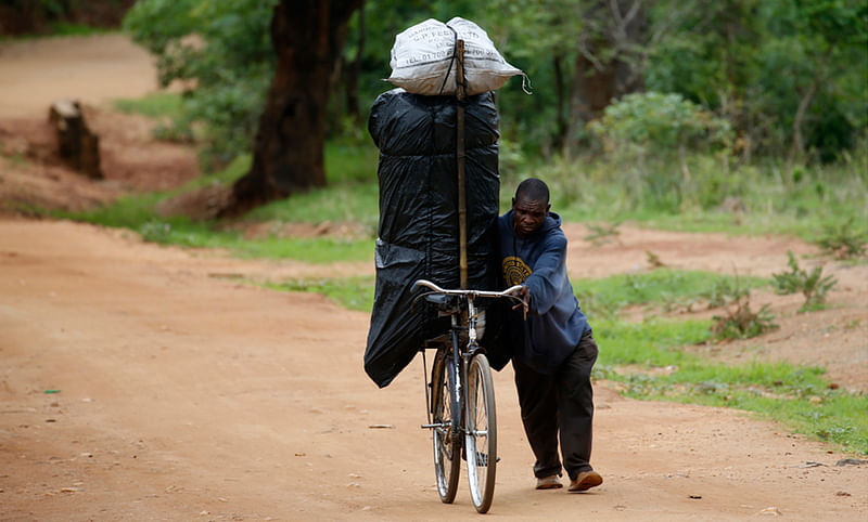 A cyclist transports charcoal for sale at Ngozi village near Malawi’s capital Lilongwe. Late rains in Malawi threaten the staple maize crop and have pushed prices to record highs. About 14 million people face hunger in Southern Africa because of a drought exacerbated by an El Nino weather pattern, according to the United Nations World Food Programme (WFP) .