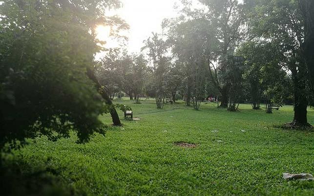 A park should be filled with greenery and natural beauty, not commercial complexes