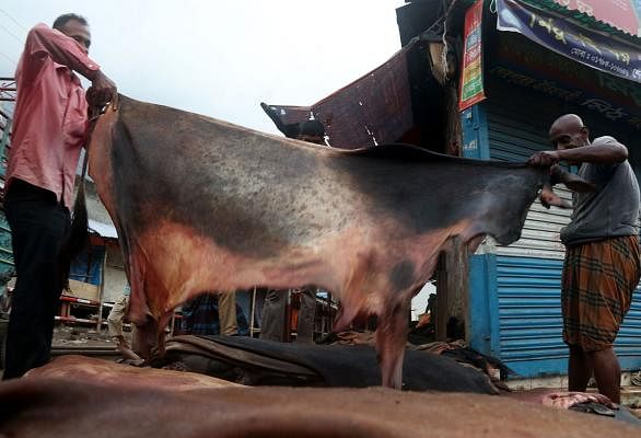 Traders pile up rawhide of cattle