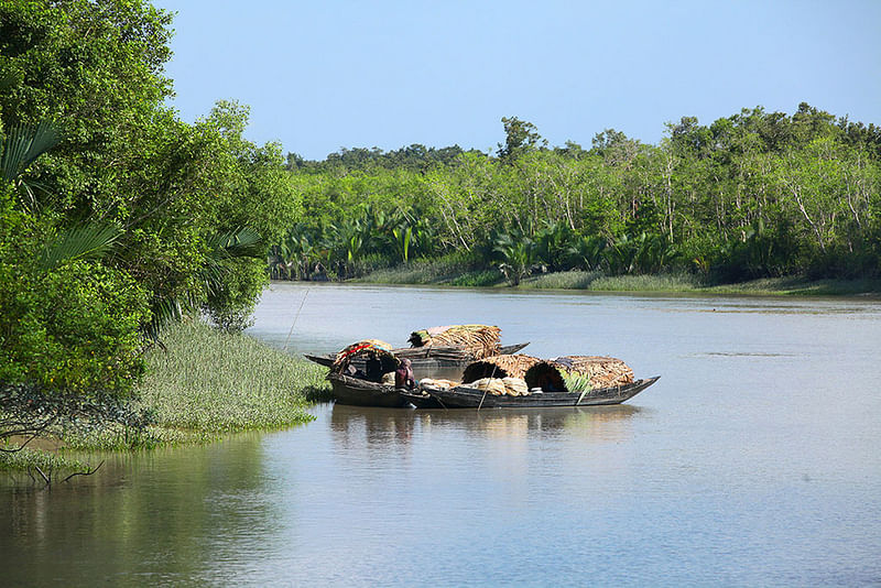 Sundarbans