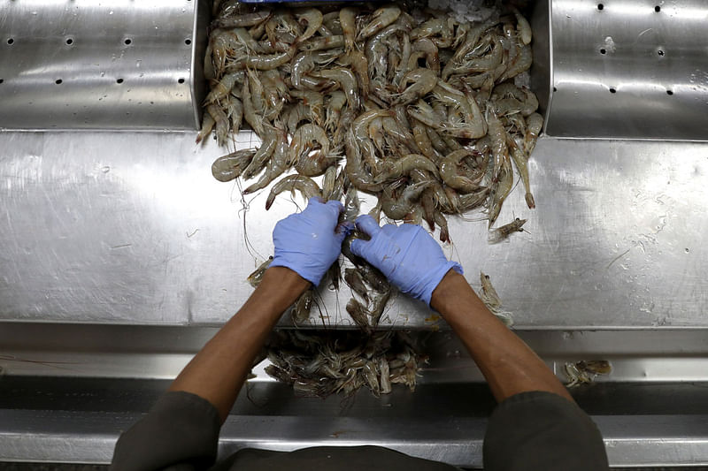 A worker processes shrimp on a production line at a processing factory in Maracaibo.